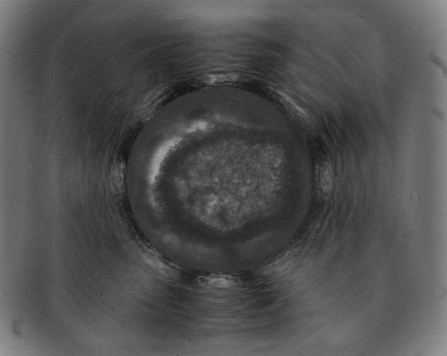 X0000090990475200708241430