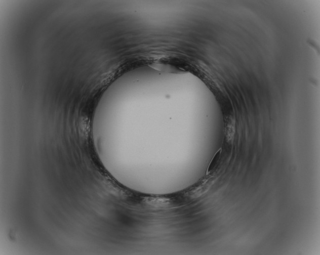 X0000090990476200708241430