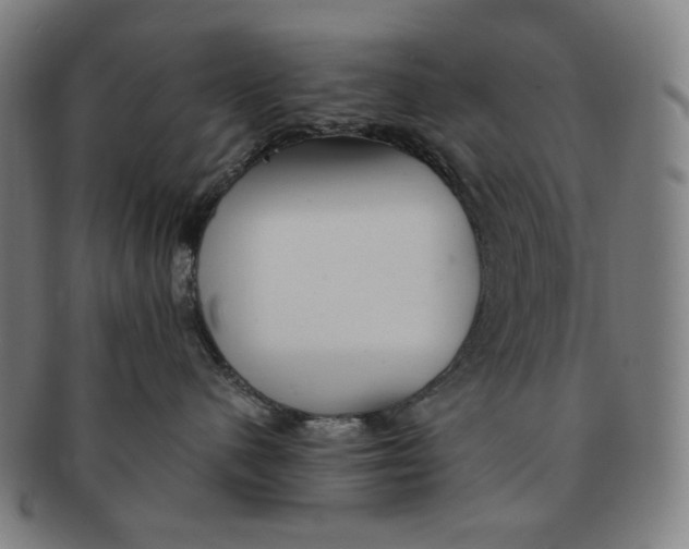 X0000090990480200708241430