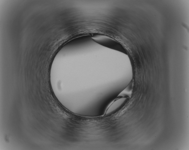 X0000090990481200708241430