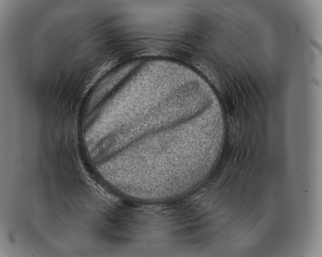 X0000090990482200708241430