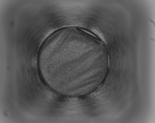 X0000090990483200708241430