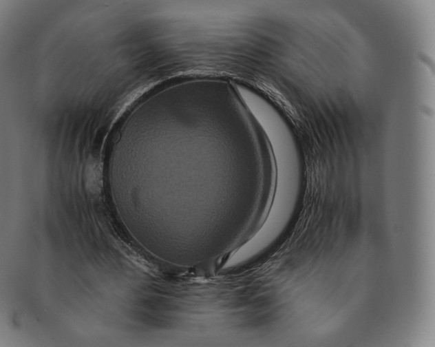 X0000090990484200708241430