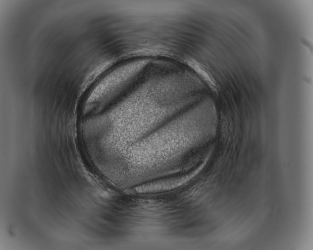 X0000090990486200708241430