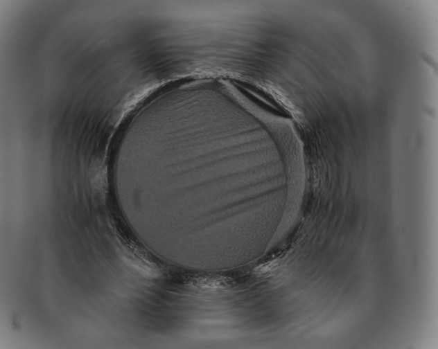 X0000090990488200708241429