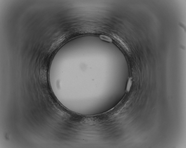 X0000090990489200708241429