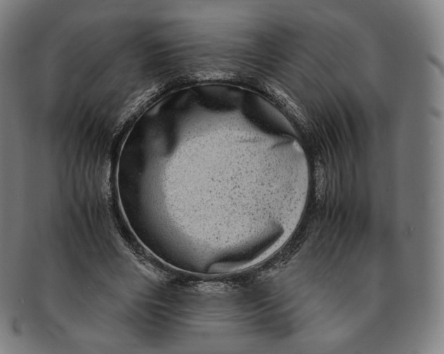 X0000090990490200708241429