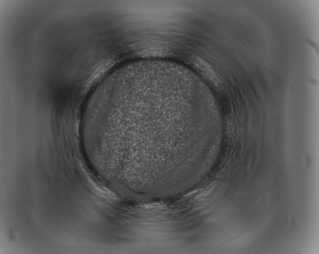 X0000090990491200708241429