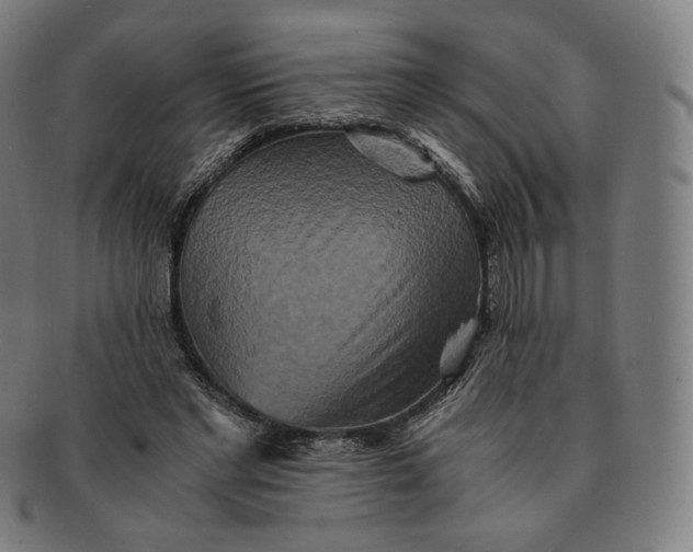 X0000090990493200708241429