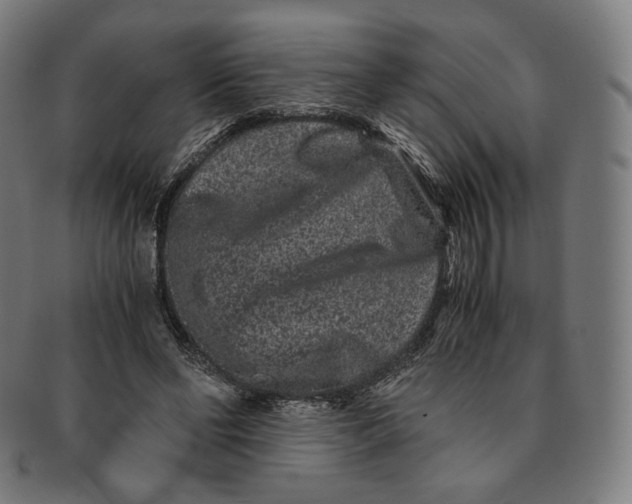 X0000090990494200708241429