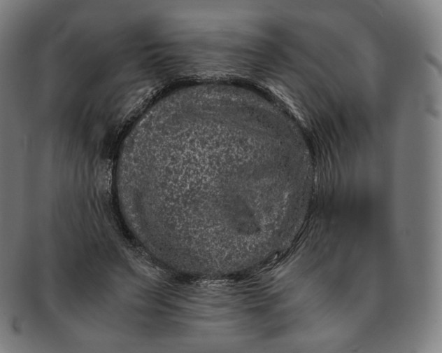 X0000090990495200708241429