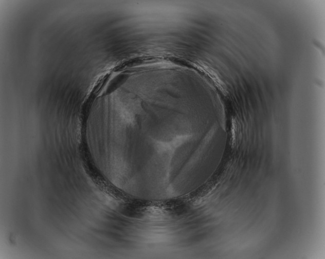 X0000090990496200708241429