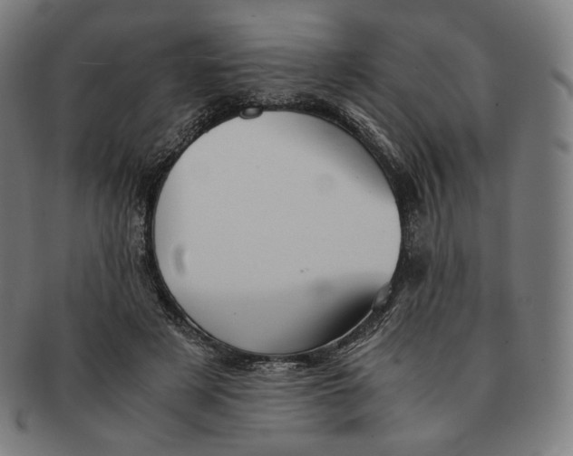 X0000090990497200708241429