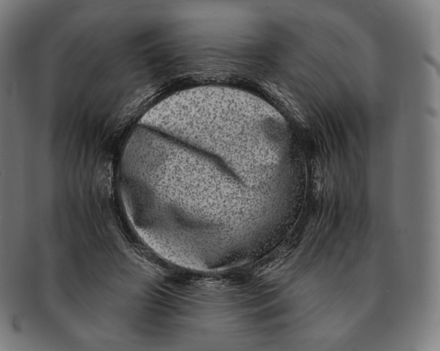 X0000090990498200708241429