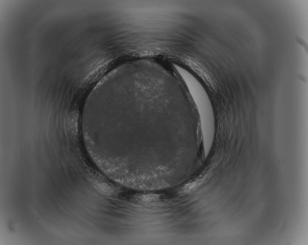 X0000090990501200708241429