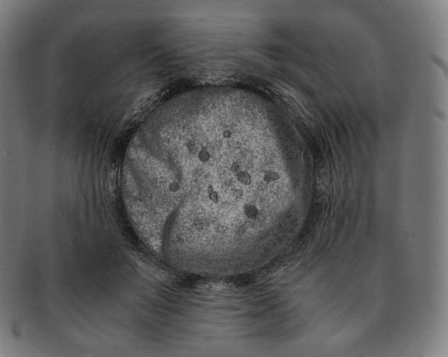 X0000090990503200708241429