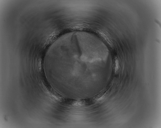 X0000090990504200708241429