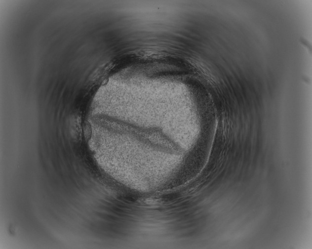 X0000090990506200708241429