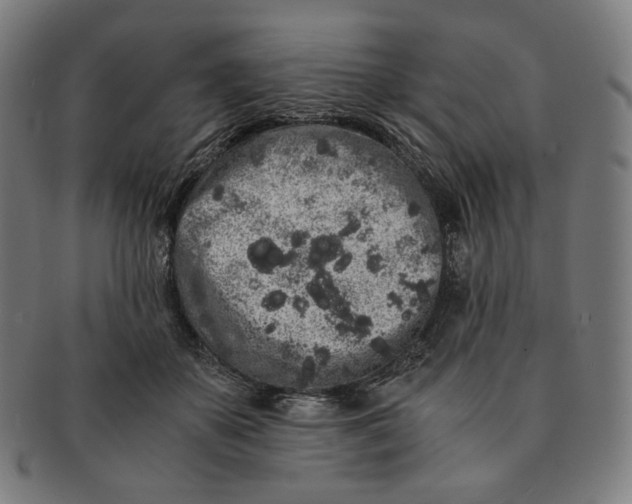 X0000090990507200708241429