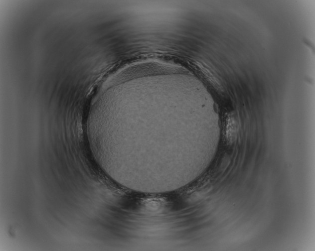 X0000090990508200708241429