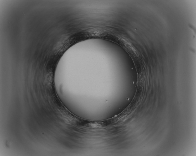 X0000090990509200708241429