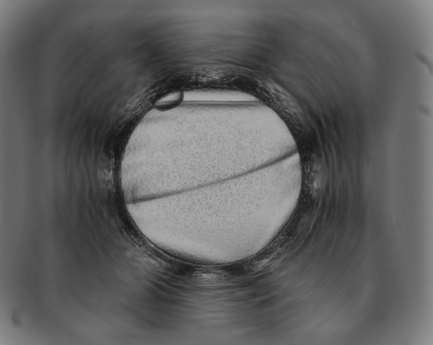 X0000090990510200708241429