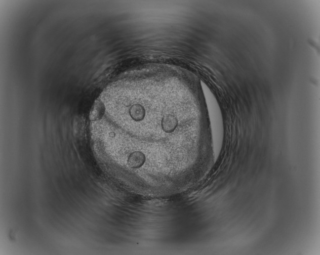 X0000090990511200708241429