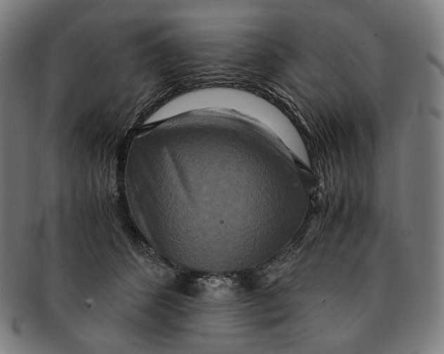 X0000090990512200708241429