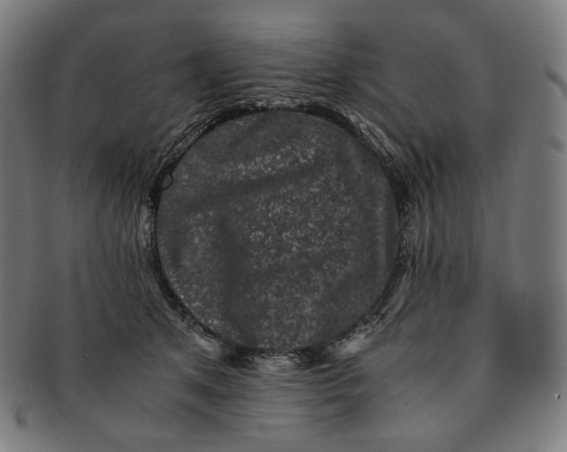 X0000090990513200708241429