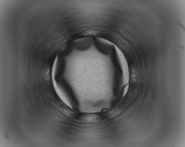 X0000090990514200708241429