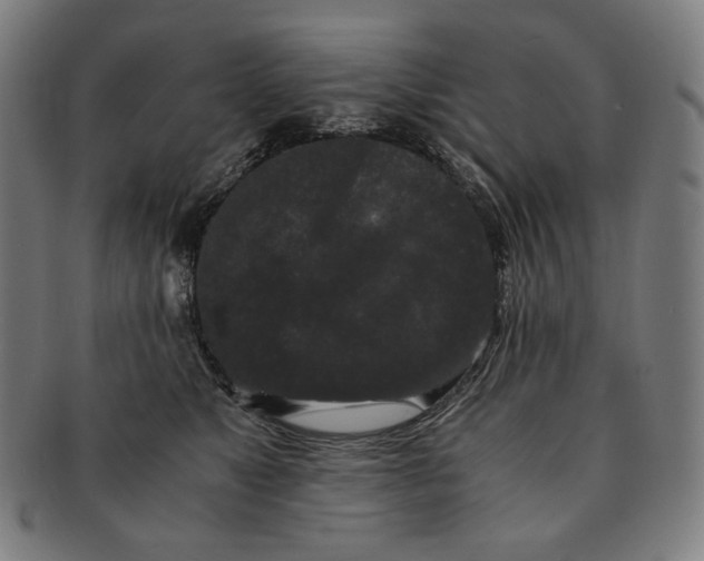 X0000090990517200708241429