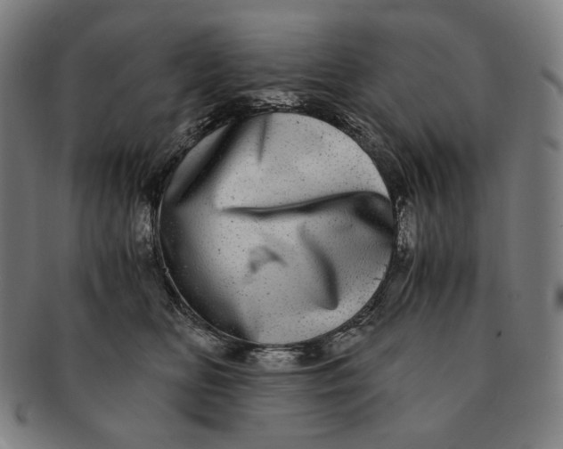 X0000090990518200708241429