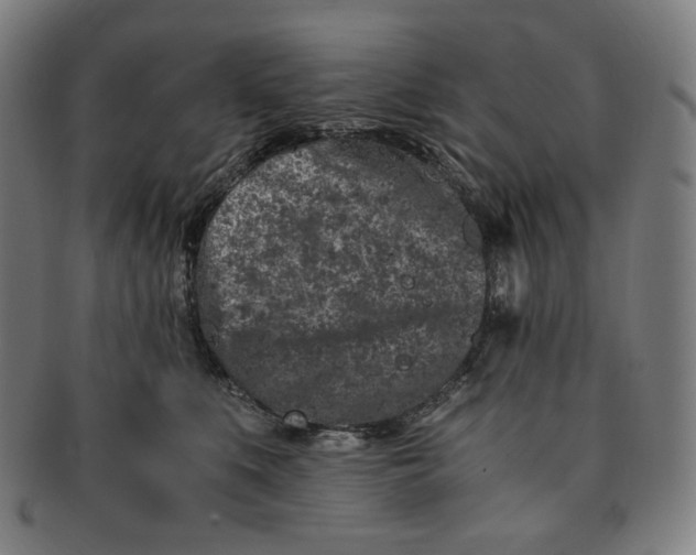 X0000090990519200708241429