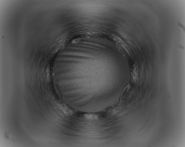 X0000090990520200708241429