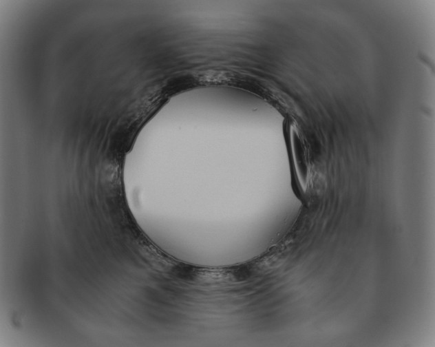 X0000090990521200708241429