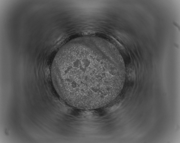 X0000090990523200708241429