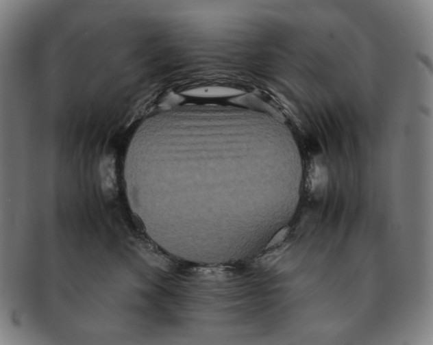 X0000090990524200708241429