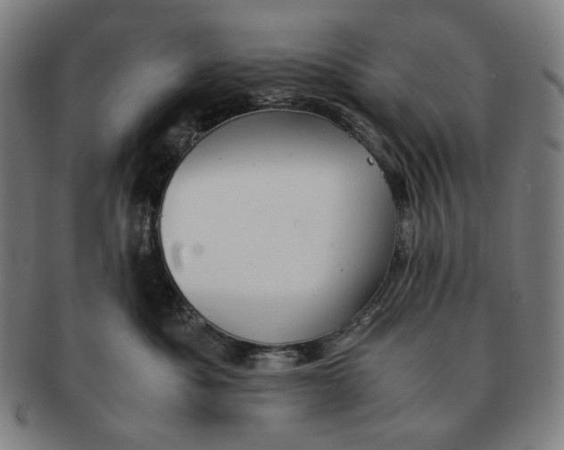 X0000090990525200708241429