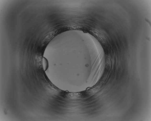 X0000090990526200708241429