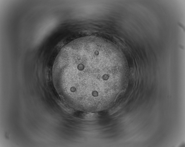 X0000090990527200708241429