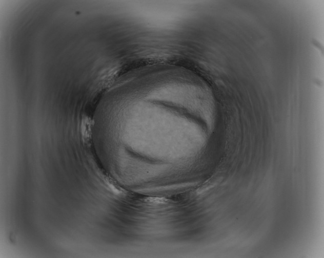 X0000090990528200708241429