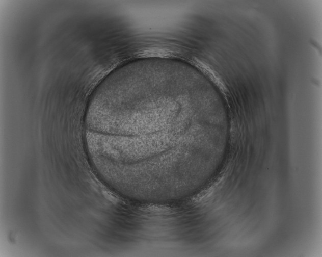 X0000090990529200708241428