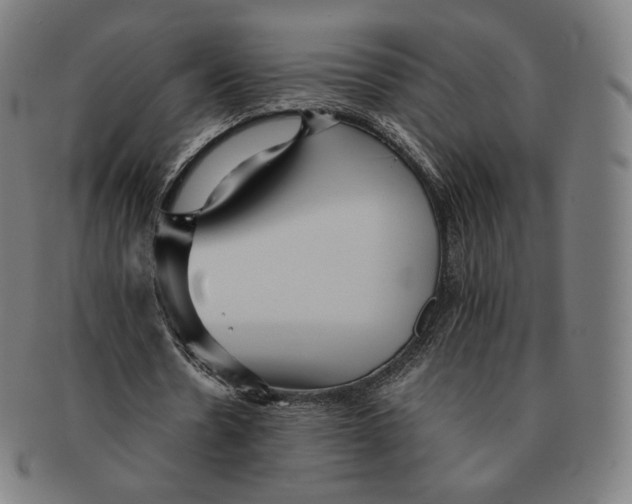 X0000090990530200708241428