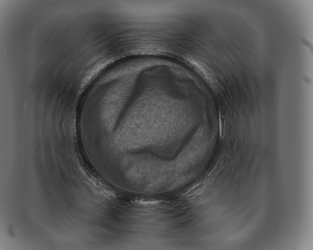 X0000090990531200708241428