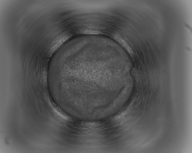 X0000090990533200708241428