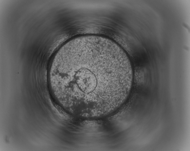 X0000090990534200708241428