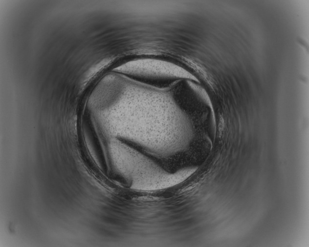 X0000090990535200708241428