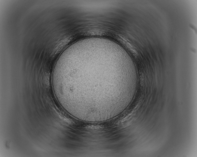 X0000090990537200708241428