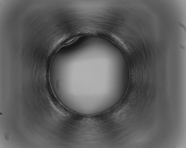 X0000090990538200708241428