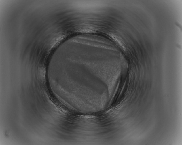 X0000090990539200708241428